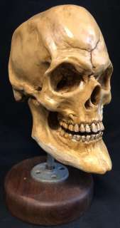 From Dusk Till Dawn (1996) - Quentin Tarantino Vampire Skull | Hanlin Auction Service