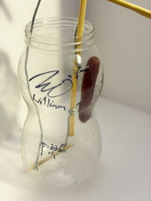 William Osman‘s Hotdog Invention (signed) - PMW‘s "24 Hour Tag" Original Prop