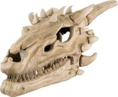 Dragon Skull from Game of Thrones (HBO® Original 2011-2019). | Heritage