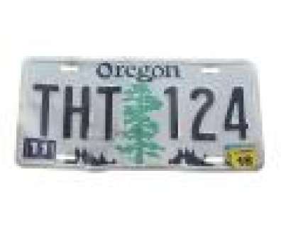 Bates Motel - Lot 494 - Norma‘s Screen Used Car-Wrecked Rear License Plate