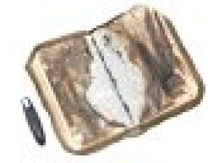 Battlestar Galactica - Lot #345 - Laura’s Book of Pythia and Lighter