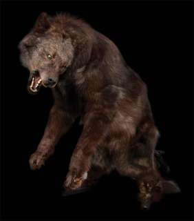 Lot 1261 - Screen-used cable actuated wolf puppet from Big Fish