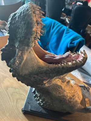 King Kong - V-Rex Polystone Bust - No. 1962/3000 - Weta | Catawiki