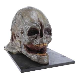 ALIEN RESURRECTION (1997) - Lot #10 : Animatronic Newborn Head