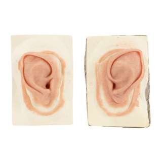 THE LORD OF THE RINGS: THE FELLOWSHIP OF THE RING (2001) - Lot #1452 : Peregrine Took‘s (Billy Boyd) Prosthetic Ears