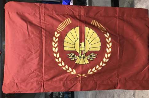 The Hunger Games Franchise - Panem Capitol Double Sided Flag | Hanlin Auction Service