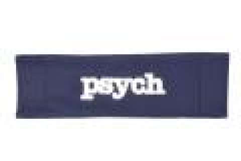 Psych | Autographed Kirsten Nelson Chairback | ScreenBid