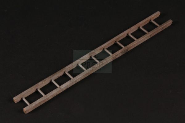 Thomas and Friends - Washdown ladder