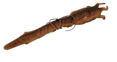 Falling Skies Harness Creature Puppet & Matt Mason (Maxim Knight) Pocket Knife Movie Props | Premiere Props