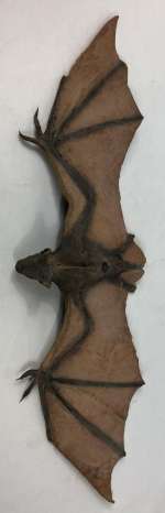 From Dusk Till Dawn (1996) - Bat Prop | Hanlin Auction Service