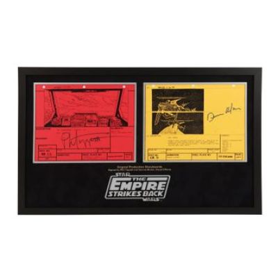Star Wars: the Empire Strikes Back | Pair of Original Production Storyboards Autographed by Phil Tippett and Dennis Muren | Propstore (Buy Now)