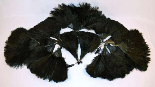 Lot 441 - New Directions "Diamonds are a Girl‘s Best Friend" fan dance performance lot.