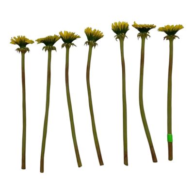 Lot 105: The Sheep Detectives Wool Eyes Screen Used (7) Porcelain Dandelion Set Sc 12 | VIP Fan Auctions