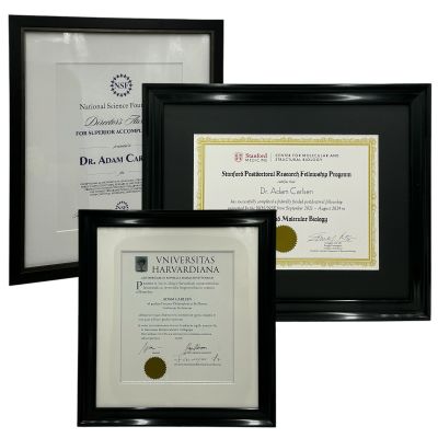 Lot 2: The Love Hypothesis Adam Carlsen (Tom Bateman) Screen Used (2) Diplomas & Framed Award | VIP Fan Auctions