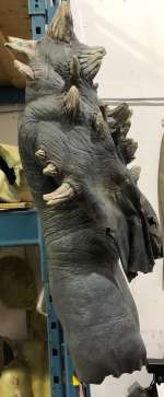 "Doomsday" Suit | Direct Liquidation