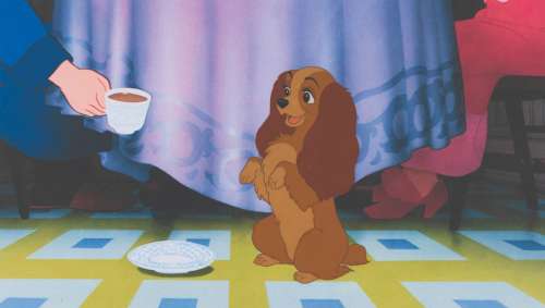 A Production Cel of Lady from "Lady and the Tramp." | Van Eaton Galleries