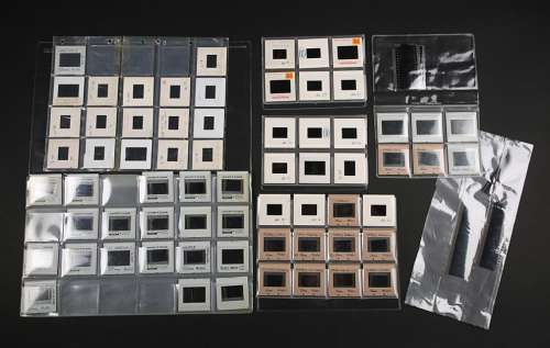 Alien & Aliens Collection Auction | 66 Colour 35mm Slides | Propstore
