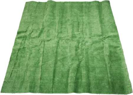A section of AstroTurf from the Brady Family Backyard from The Brady Bunch Movie (Paramount,...