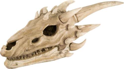 Dragon Skull from Game of Thrones (HBO® Original 2011-2019). | Heritage
