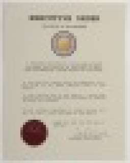 Battlestar Galactica - Lot #1318 - BSG Baltar’s New Caprica Order