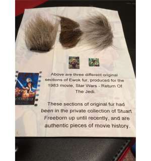 Star Wars movie prop - Three thick patches of fur from three different Ewoks in Return of the Jedi | Piece of the Past