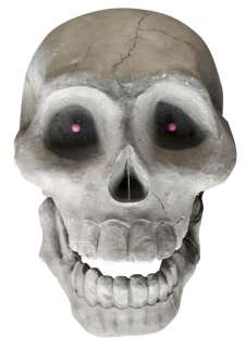 Large Skull from Tim Burton’s Ed Wood | Blacksparrow