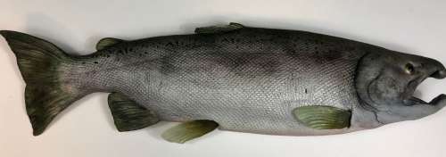 Lot 288 - The Three Stooges (2012) - Prop Salmon Fish