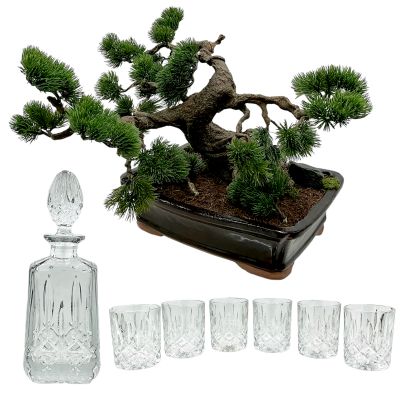 Lot 22: The Wrecking Crew Marcus Robichaux Screen Used Decanter & Glass Set & Bonsai | VIP Fan Auctions