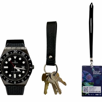 Lot 6: The Love Hypothesis Adam Carlsen (Tom Bateman) Screen Used Conference Pass, Keys & Watch | VIP Fan Auctions