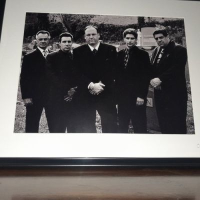 The Sopranos - Classic TV - "The Family" | Catawiki