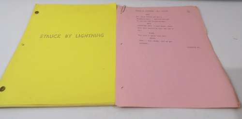 Vintage Struck By lightning TV Sitcom Pilot Script | Eagles Corps International LLC