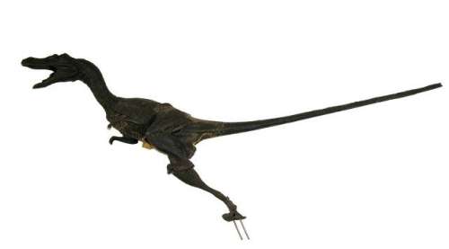 Jurassic Park III Velociraptor Maquette | Premiere Props