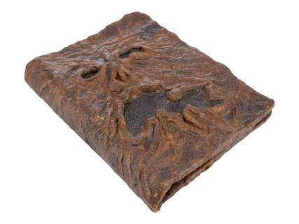 Evil Dead II (1987) | Stunt Necronomicon Ex-Mortis | Propstore