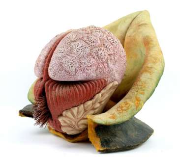 Lot 3086 - Doctor Who - Terror of the Vervoids (1986), Vervoid head and hands pulled from the original mould. T