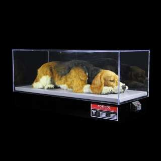 STAR TREK: ENTERPRISE (TV 2001-2005) - Lot 359 - Jonathan Archer‘s (Scott Bakula) Porthos Puppet