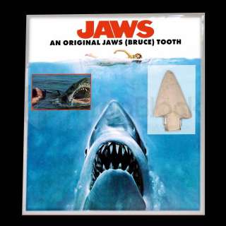 Jaws Original Tooth Display | The Prop Block