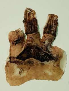 Lot 80 - Doctor Sleep (2019) - Rose The Hat (Rebecca Ferguson) Hand Appliance