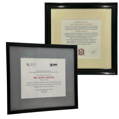 Lot 18: The Love Hypothesis Adam Carlsen (Tom Bateman) Screen Used Diploma & Framed Award | VIP Fan Auctions