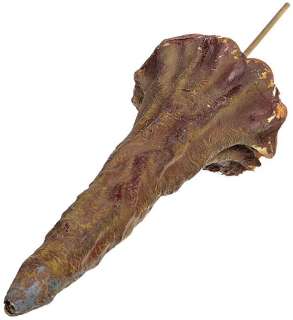 Star Trek: Voyager "Macrocosm" SFX Alien Limb | Propworx