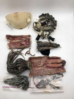 Lot 200 - "Fringe" - Alien severed tentacles
