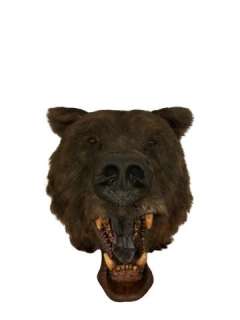 The Edge Animatronic Stunt Bear Head Movie Props | Premiere Props
