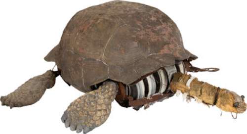 Angela Cartwright "Penny Robinson" Priplanian Turtle from Lost in Space (CBS, 1965-1968). </...