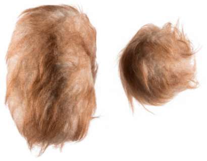 Set of (2) Auburn Tribbles from Episode, "The Trouble with Tribbles" of Star Trek: The Original Series ...