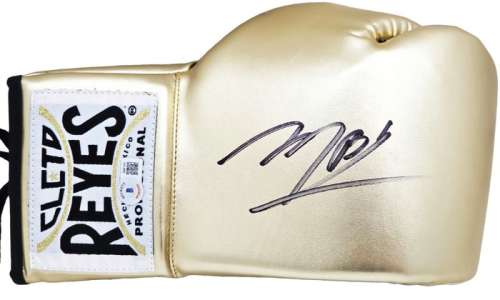 Creed - Michael B Jordan - Signed Glove - With COA | Catawiki