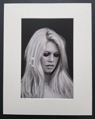Photo d’art de Brigitte Bardot avec certificat d’authenticité. - Brigitte Bardot - Yellow Jorner - Edition limitée titrée et numérotée à la main | Catawiki