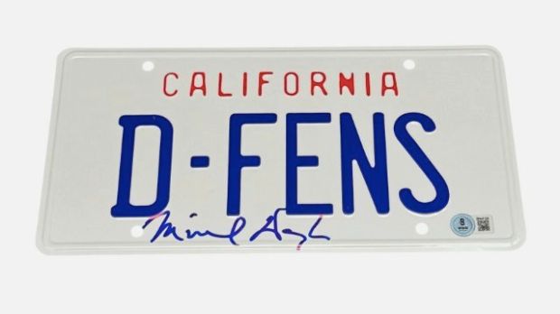 Falling Down - Michael Douglas - Signed License Plate - Beckett COA | Catawiki