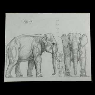 THE VALLEY OF GWANGI (1969) - Lot 1731 - Hand-drawn Ray Harryhausen "Pinky the Elephant" Scale Comparison