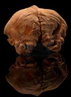 Star Wars: Episode V – the Empire Strikes Back | Emperor Forehead Appliance | Propstore