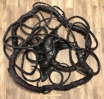 Screen matched Vine From “Stranger things” W/coa | eBay US