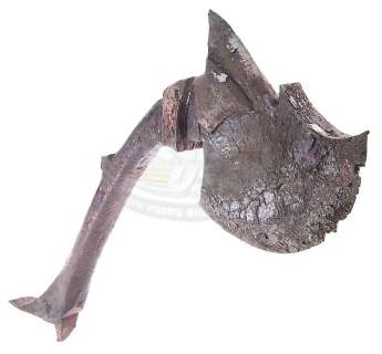 Lot 187 - Predators - Predator‘s Fighting Axe